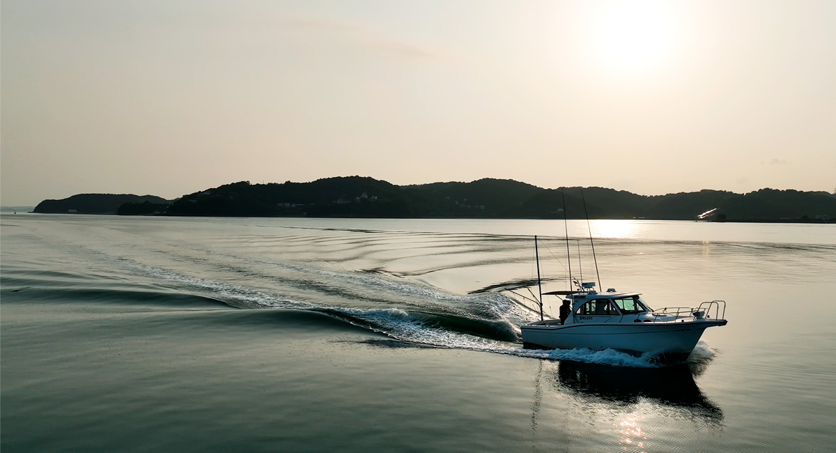 静かな海をクルージング